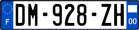 DM-928-ZH