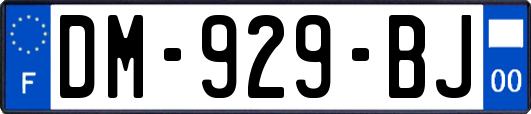 DM-929-BJ