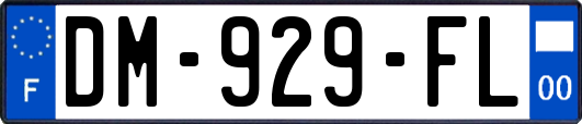 DM-929-FL