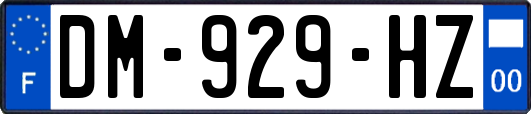 DM-929-HZ