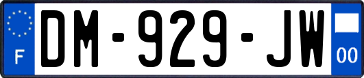 DM-929-JW