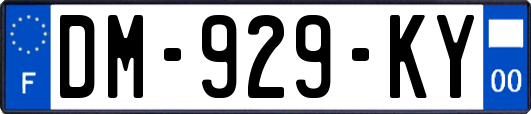 DM-929-KY