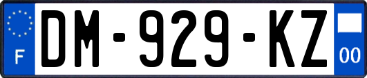 DM-929-KZ