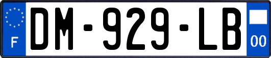 DM-929-LB