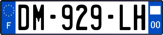 DM-929-LH