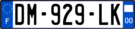 DM-929-LK