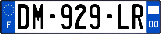DM-929-LR