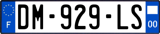 DM-929-LS
