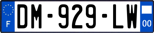 DM-929-LW