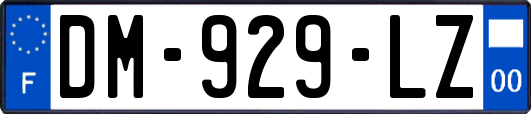 DM-929-LZ