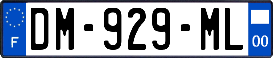 DM-929-ML