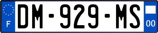 DM-929-MS