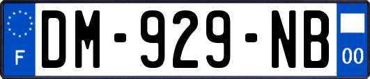 DM-929-NB