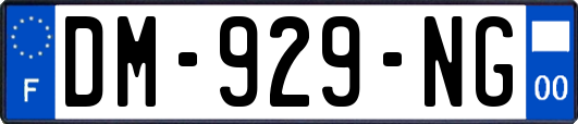 DM-929-NG
