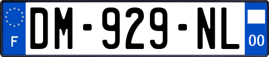 DM-929-NL