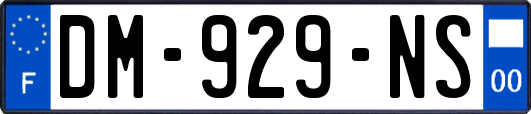 DM-929-NS
