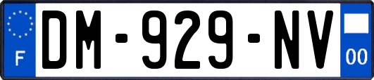 DM-929-NV