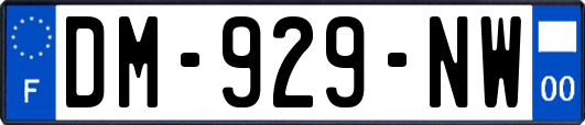 DM-929-NW