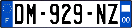 DM-929-NZ