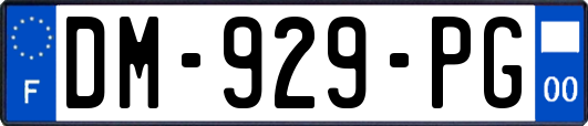 DM-929-PG