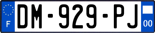 DM-929-PJ