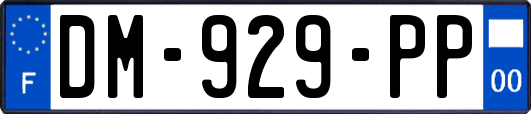 DM-929-PP