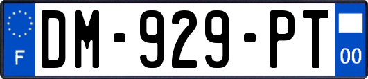 DM-929-PT