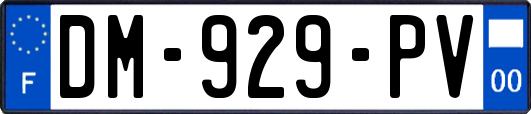 DM-929-PV