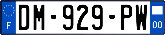 DM-929-PW