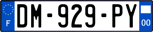 DM-929-PY