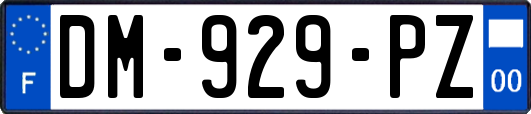 DM-929-PZ