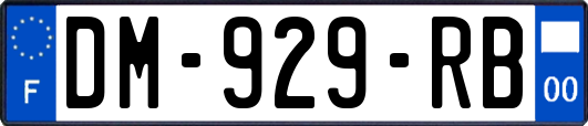 DM-929-RB