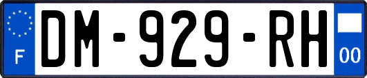 DM-929-RH