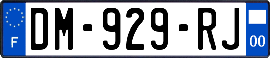 DM-929-RJ