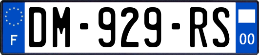 DM-929-RS