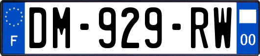 DM-929-RW