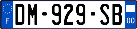 DM-929-SB