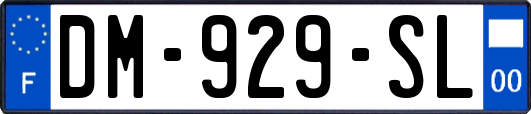 DM-929-SL