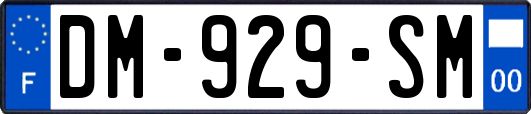 DM-929-SM
