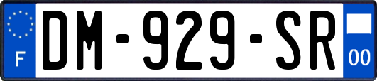 DM-929-SR