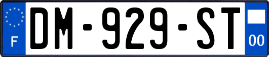 DM-929-ST