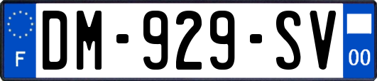 DM-929-SV