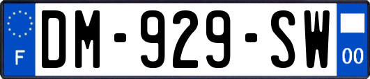 DM-929-SW