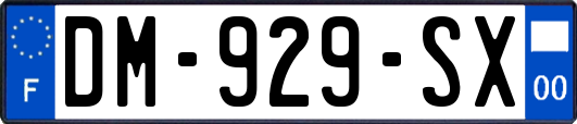 DM-929-SX