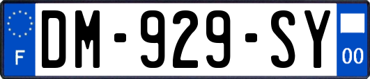 DM-929-SY
