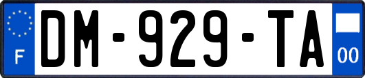 DM-929-TA