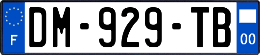 DM-929-TB