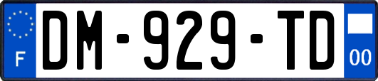 DM-929-TD