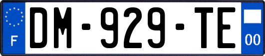 DM-929-TE