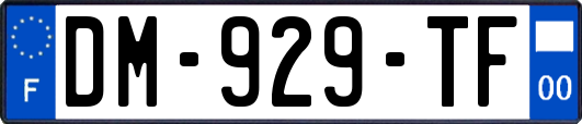 DM-929-TF